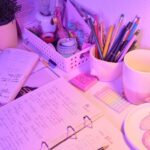 Documentación: el arte de estudiar para escribir